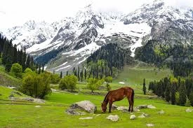 Best Travel Agency in Kerala | Switzerland